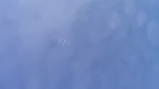 ПЕРМСКИЕ ГОЛУБИ. смотреть онлайн