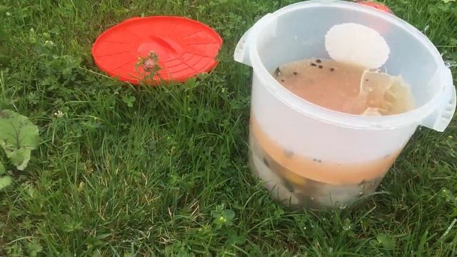 Курица холодного копчения. смотреть онлайн