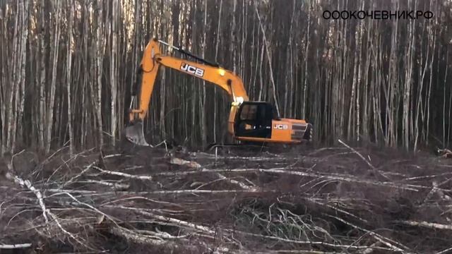 ОЧИСТКА ПОЛЯ ОТ БЕРЕЗОК.КОРЧЕВКА ПНЕЙ И ЦЕЛЫХ ДЕРЕВЬЕВ ЭКСКАВАТОРОМ JCB 205.РАБОТАЕМ ПО РФ И СНГ смотреть онлайн