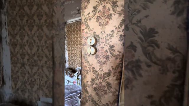 Сильнейшее заражение постельными клопами