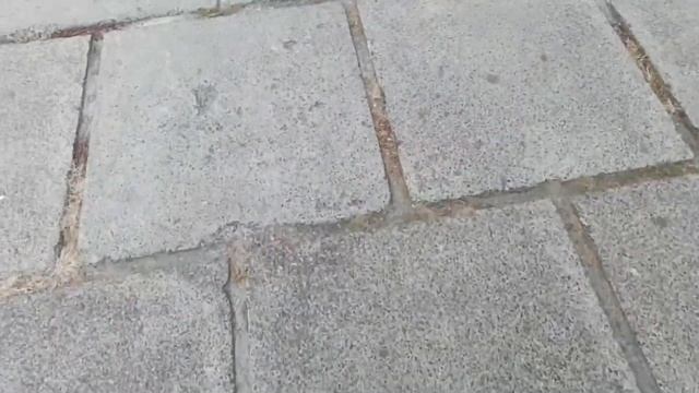 Влог! В школу пора смотреть онлайн