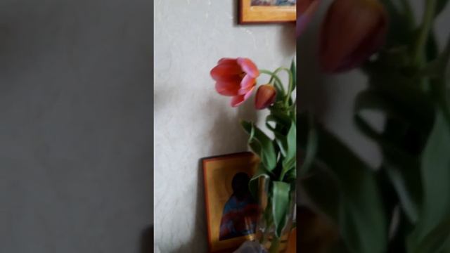 икона Св. Спиридон Тримифутский, письмо, смотреть онлайн