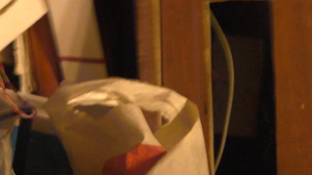 Ко мне пришла белка, жесть! смотреть онлайн