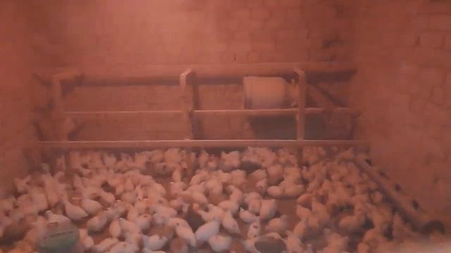 26 сентября 2023 г. смотреть онлайн