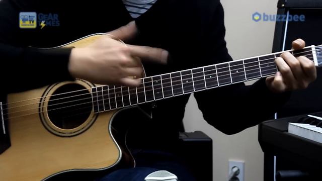 Parkwood 어쿠스틱기타 S66