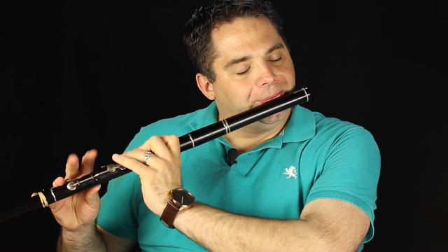 Flute Lesson: With Her Long Dark Hair Flowing Down Her Back смотреть онлайн