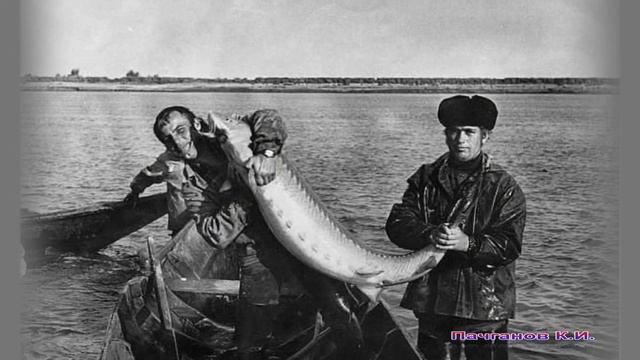Нялинский рыбоучасток 1961-1999 гг. смотреть онлайн