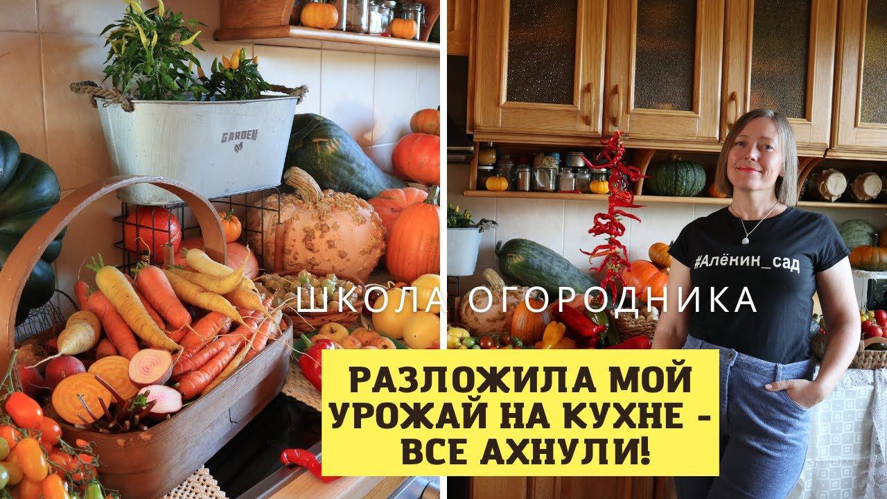 Урожай не влез на стол! А я лето отдыхала... смотреть онлайн