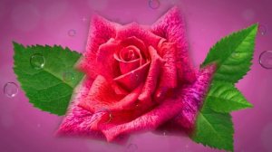 Футаж. Цветочный фон 101