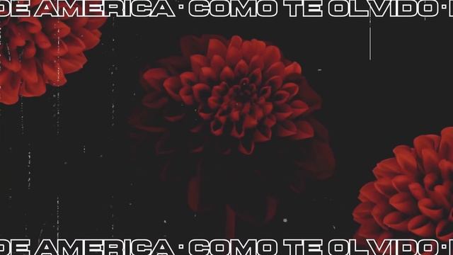 Como Te Olvido, Binomio De Oro De América - Video Letra смотреть онлайн