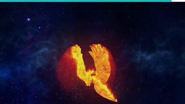 Jellyfish Explained смотреть онлайн