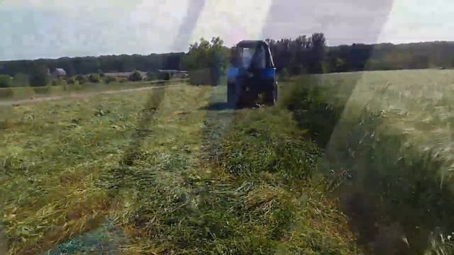 ТРАКТОР БЕЛАРУС 920 МТЗ СЕЛЬСКИЙ ТРАКТОРИСТ 8 #vseklevo TRACTOR BELARUS RURAL TRACTOR #синийтрактор смотреть онлайн