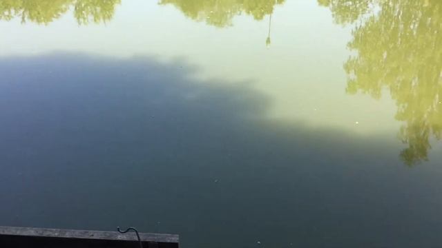 На рыбалку в РК Фишка Липки смотреть онлайн