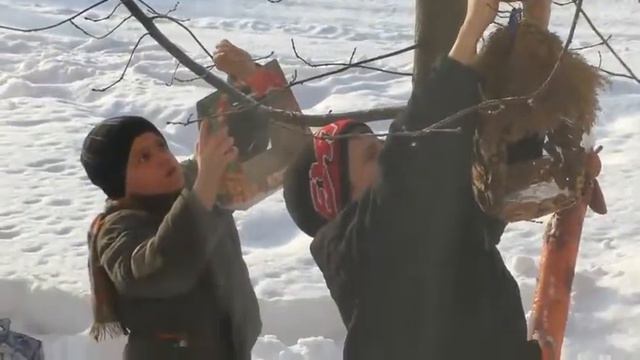 Диплом ЗА БОЛЬШУЮ КОМАНДНУЮ РАБОТУ - «Защитим права братьев наших меньших» смотреть онлайн