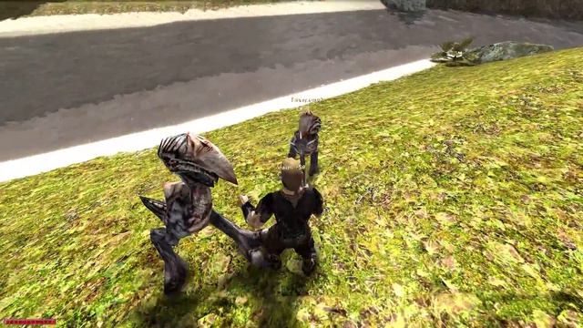 Прохождение Готика 1 DirectX 11 - Часть: 8 - ПРИНЯТИЕ В СТАРЫЙ ЛАГЕРЬ смотреть онлайн