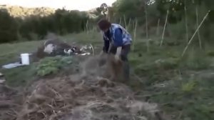 Как сделать грядки на целине без перекопки