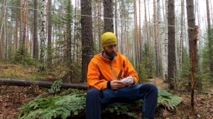 Ночёвка в лесу в одиночку. Разрушаем страхи, даём советы! Ночевка в лесу без палатки,  бушкрафт