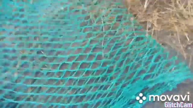 Как сделать рептух своими руками смотреть онлайн