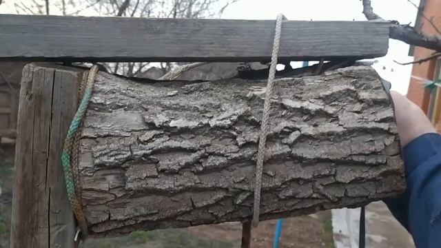 Очень примитивный скворечник как в природе. Скворцы не захотели заселяться в неубранный домик. смотреть онлайн