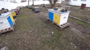 Чем покрасить улья. Примеры разных красок после нескольких лет использования.