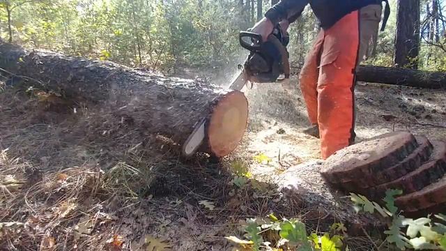 How to make a proper cut with a chainsaw смотреть онлайн