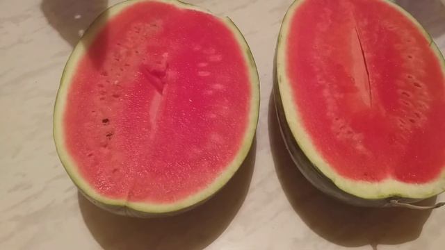 Арбуз Сармат в Нижегородской области. смотреть онлайн