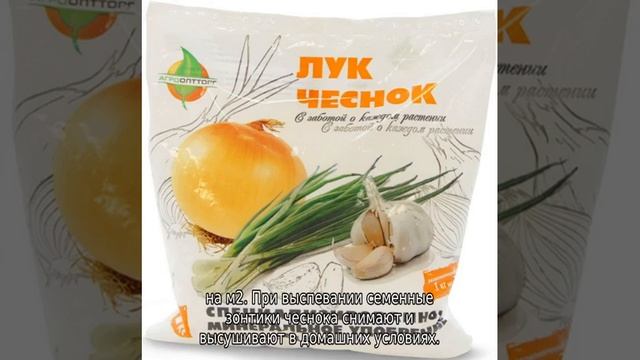 Китайский чеснок — выращивание смотреть онлайн