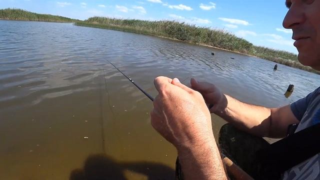 Приехали на рыбалку, а нашли царскую копейку