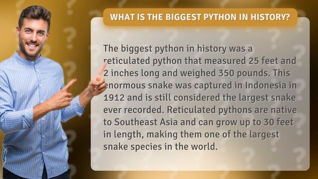 What is the biggest python in history? смотреть онлайн