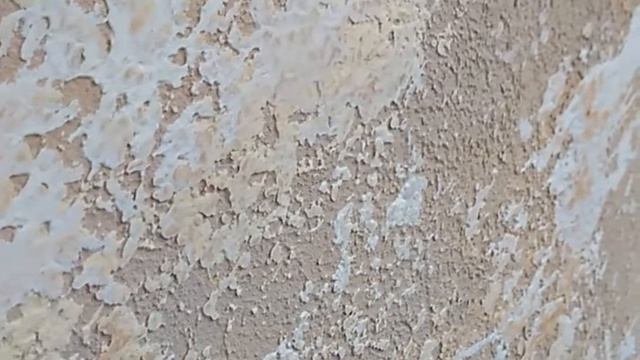 мастер-класс по нанесению декоративной штукатурки