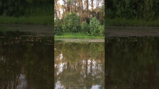 14 июня. Начало щучьего сезона. Активность 0. смотреть онлайн