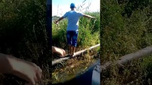 Искупался в болоте