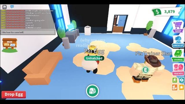 Trying to Get An Ancient Dragon in Adopt Me's New Update! | ROBLOX смотреть онлайн