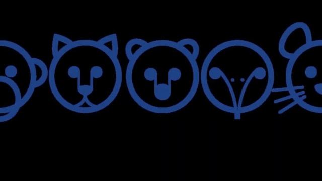 Zoo Vet: Endangered Animals - All PDA Treatment Skins смотреть онлайн