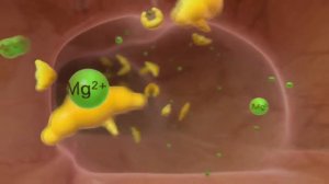 Очистка кишечника с Пикопрепом