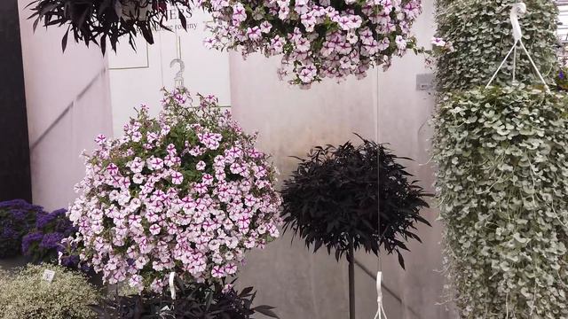 Стоит один раз увидеть и уже тяжело остаться равнодушным! смотреть онлайн