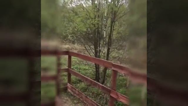 Любимое ксс "Мелихово" смотреть онлайн