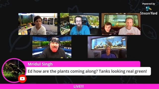 Lazarus The Fish Boy Live!!! Hanging Out With Fishy Friends - Group Hangout!