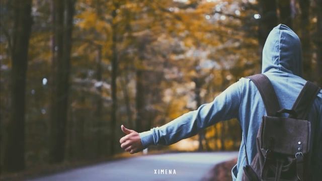 Sia- NEVER GIVE UP (Traducida al español)