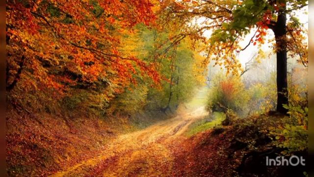 Спокойная музыка природа  Relax Music Nature