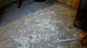 БАНЯ ИЗ ДОСКИ, СПУСТЯ ГОД........