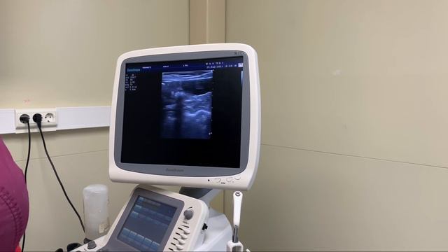 Шпиц Мишель передумала рожать, щенков не будет смотреть онлайн