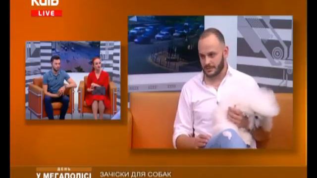 (15.08.2018 р.) Грумер, капітан збірної команди з грумінгу Георгій Гогінашвілі смотреть онлайн