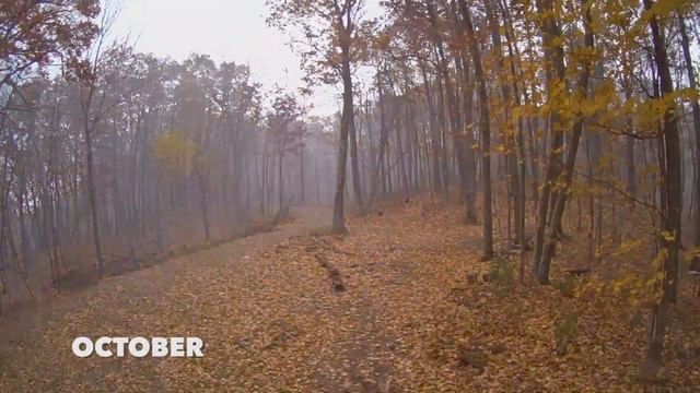 The Getaway Project смотреть онлайн