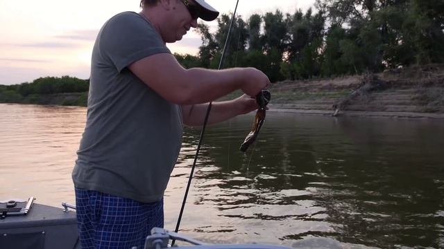 Ловим судака летом июнь - июль. смотреть онлайн