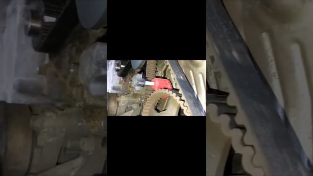 Cambio de banda de distribución Mitsubishi Outlander 2007 3.0 смотреть онлайн