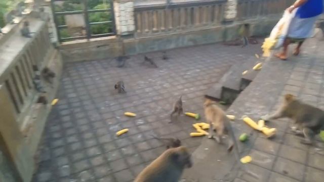 Улувату, Бали (Uluwatu, Bali) смотреть онлайн