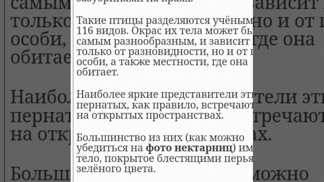Top 3 птиц названия,информация . смотреть онлайн