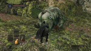 DARK SOULS  2 #2 Лес Павших Гигантов(Скрытая ТАЙНА)