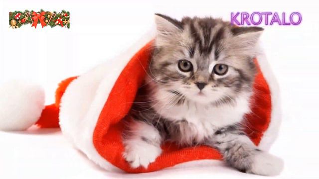 stille nacht-silent night-astro del ciel- harmonica solo-golden melody in C (do) смотреть онлайн